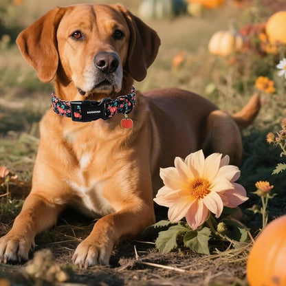 DOGWONG Fall Dog Collar, Pumpkin Floral Dog Collar Adjustable Soft Halloween Girl Pet Dog Collars Cute Puppy Necklace for Small Medium Large Dogs