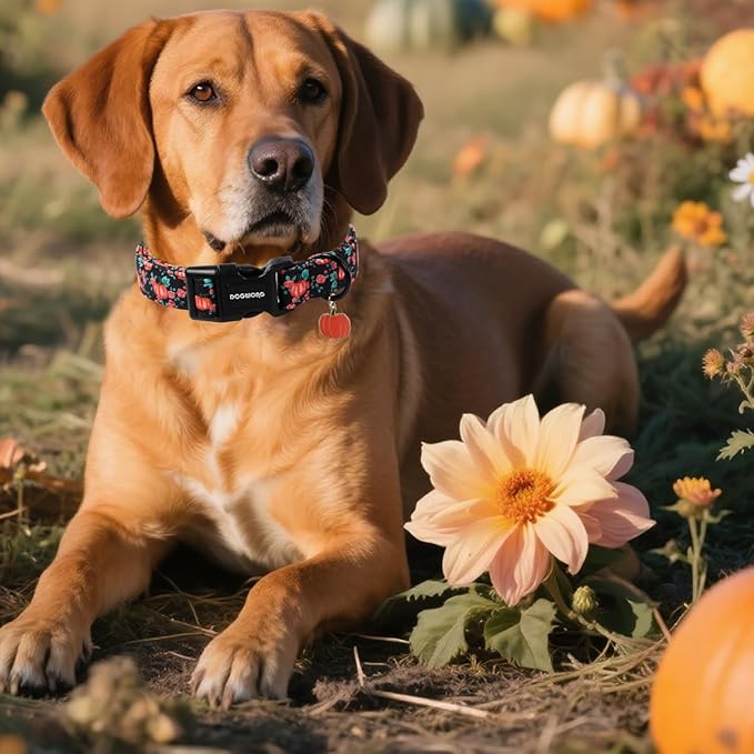 DOGWONG Fall Dog Collar, Pumpkin Floral Dog Collar Adjustable Soft Halloween Girl Pet Dog Collars Cute Puppy Necklace for Small Medium Large Dogs