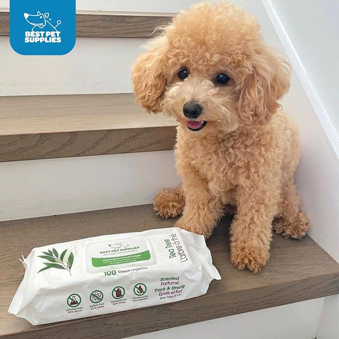 Best Pet Supplies Pet Grooming Wipes for Dogs, 100 Pack, Plant-Based Deodorizer for Coats & Dry, Itchy, or Sensitive Skin, Clean Ears, Paws, Body, & Butt - Cleansing Tea Tree