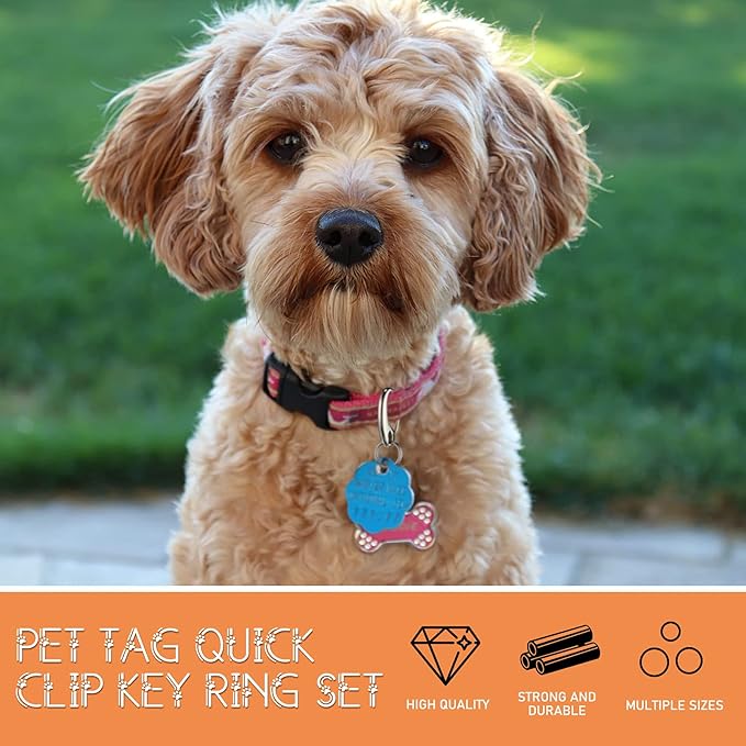 18 Pieces Leash Dog Tag Clip Pet ID Tag Pet Tag Clip Quick Clip Combos Pet ID Tag with Rings, Stainless Steel Quick Clips Pet ID Tag Holder for Dog Cat