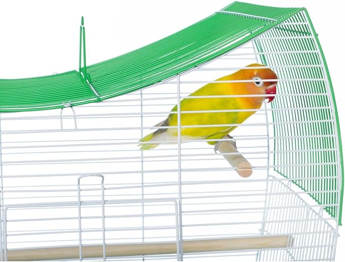 Prevue Pet Products South Beach Wave Top Bird Cage, Lime Green (SP50081)