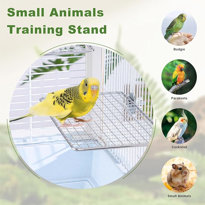 Stainless Steel Bird Perch Platform for Cage, Open-Grid Parrot Perch Stand, Easy Clean and Claw-Friendly Resting Shelf, Bird Cage Accessories for Small Medium Birds Like Parakeets, Budgie, Cockatiel