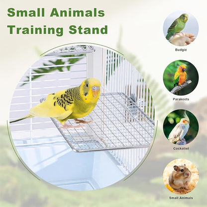 Stainless Steel Bird Perch Platform for Cage, Open-Grid Parrot Perch Stand, Easy Clean and Claw-Friendly Resting Shelf, Bird Cage Accessories for Small Medium Birds Like Parakeets, Budgie, Cockatiel