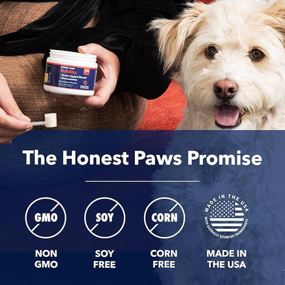 Honest Paws Joint Supplement for Dogs - Supports Mobility, Hip & Joint Health, Eases Stiffness - Glucosamine, Green Lipped Mussel, Fish Oil, Chondroitin Sulfate, MSM, Vitamin C