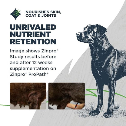 Blackwood Lean/Senior Dry Dog Food, Chicken Meal with Ancient Grains, 10 Pound Bag for Weight Management and Muscle Mass Maintenance