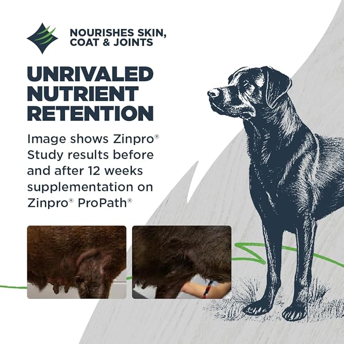 Blackwood Lean/Senior Dry Dog Food, Chicken Meal with Ancient Grains, 4.5 Pound Bag for Weight Management and Muscle Mass Maintenance