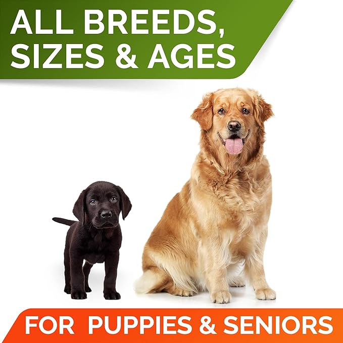 STRELLALAB Pumpkin Powder for Dogs - 8oz Powdered High Fiber Supplement and Stool Softener - Upset Stomach, Food Sensitivity - Improve Digestion - 8oz Powder