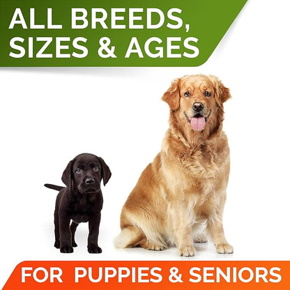 STRELLALAB Pumpkin Powder for Dogs - 8oz Powdered High Fiber Supplement and Stool Softener - Upset Stomach, Food Sensitivity - Improve Digestion - 8oz Powder