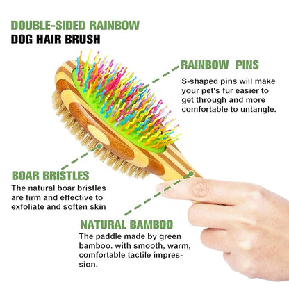 MAXIMILIAN Dog Brush in Mint Green for Dog Grooming and Detangling, Easy to Hold Ergonomic Handle, Soft Plastic Teeth and Bristle Brush, Best Pet Brush for Curly-haired Dogs, Eco Friendly