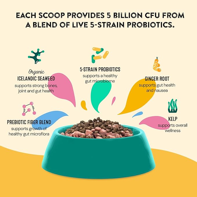 Dog Gut Health Probiotics Supplement | Improves Digestive Health and Immune System Support for Dogs and Puppies | All Natural Ingredients Tasty Kibble Dog Food Topper | 60 Count Pack