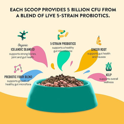 Dog Gut Health Probiotics Supplement | Improves Digestive Health and Immune System Support for Dogs and Puppies | All Natural Ingredients Tasty Kibble Dog Food Topper | 60 Count Pack