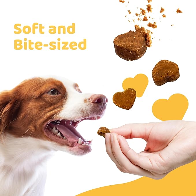 Dog Treats for Puppy Training, All Natural Human Grade Soft Dog Treat with Probiotics, Hypoallergenic, Easy to Digest (Beef)