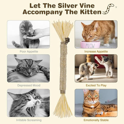 2 Pack Silvervine Sticks for Cats - Cat Chew Toy for Teeth Cleaning, Edible Matatabi Kitty Chew Sticks, Catnip Cat Toys for Indoor Cats (2 Sticks)