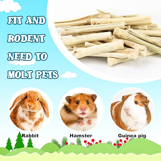 800g/1.76lb Bunny Toys Sweet Bamboo Sticks for Rabbits Bunny Chew Toys Molar Treats Snack for Small Animals Hamsters Chinchillas Guinea Pigs