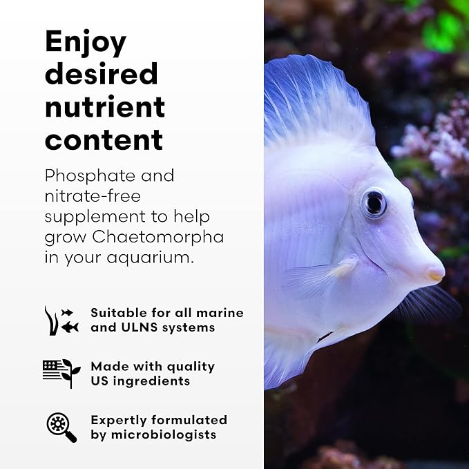 Brightwell Aquatics - ChaetoGro - Algae Nutrient Supplement for Chaetomorpha Growth in All Marine Fish Tanks - Multi-Nutrient Aquarium Water Treatments, 67.6 fl oz