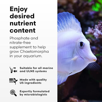 Brightwell Aquatics - ChaetoGro - Algae Nutrient Supplement for Chaetomorpha Growth in All Marine Fish Tanks - Multi-Nutrient Aquarium Water Treatments, 8.45 fl oz
