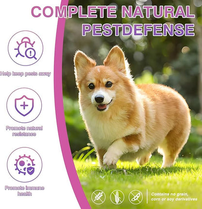 Dog Flea and Tick Treatment Chewable 200 Treatment Chews Natural Soft Chew Fleas Ticks Treatment Dog Oral Chewables Support Supplement Breeds and Ages Dogs Chicken Flavor