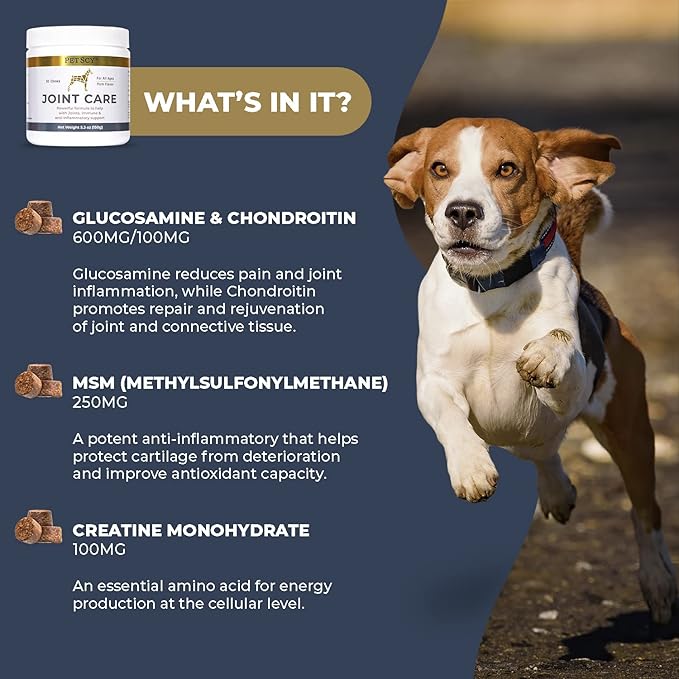 Petscy: Joint Care Chews - Glucosamine, Chondroitin, MSM, and Creatine Nutritional Supplement for Dogs - 30 Chews - Pork Flavor - Joint Pain Relief Support for All Ages and Breeds - Made in The USA