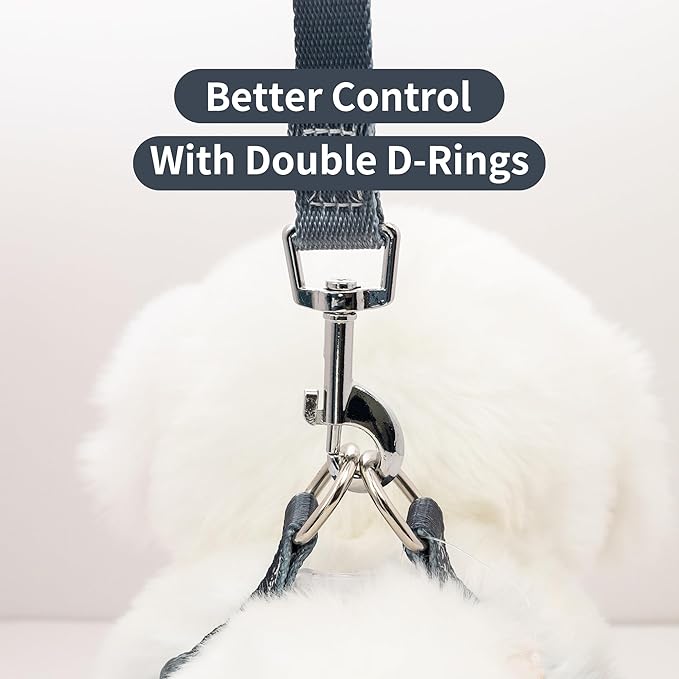 AIITLE No Pull Small Dog Harness and Leash Set- Escape Proof/Quick Fit Dog Halter Harness,Easy for Training Walking -Sturdy Buckle and Double D Ring -Puppy Harness for Small Dogs,Black-Grey Gradient S