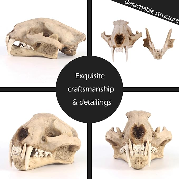 Aquarium Décor Cave Decorations Fish Hideout Betta Tarantula Reptile Snake for Terrarium Ornament Dinosaur Animal Skull Large Bones Halloween