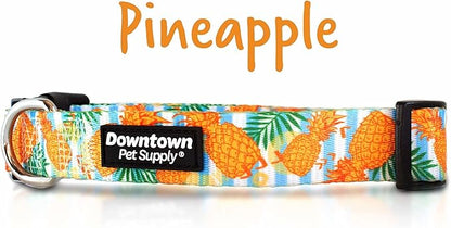 Downtown Pet Supply - Best, Cute & Fancy Dog Collar - Lightweight Adjustable Dog Collar with Quick Buckle & D-Ring - Hand Wash Safe - Pineapple - L - Large Dog Collar