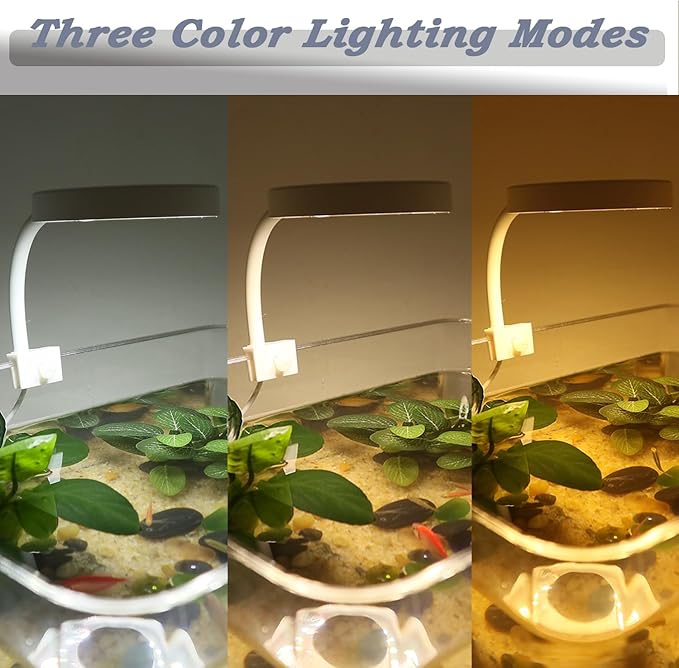Upgraded Aquarium Light with Timer Clip On Fish Tank LED Light Small USB Light Dimmer Multi-Color White+Warm Yellow+Yellow 1 to 5 Gal (Adapter NOT Included)