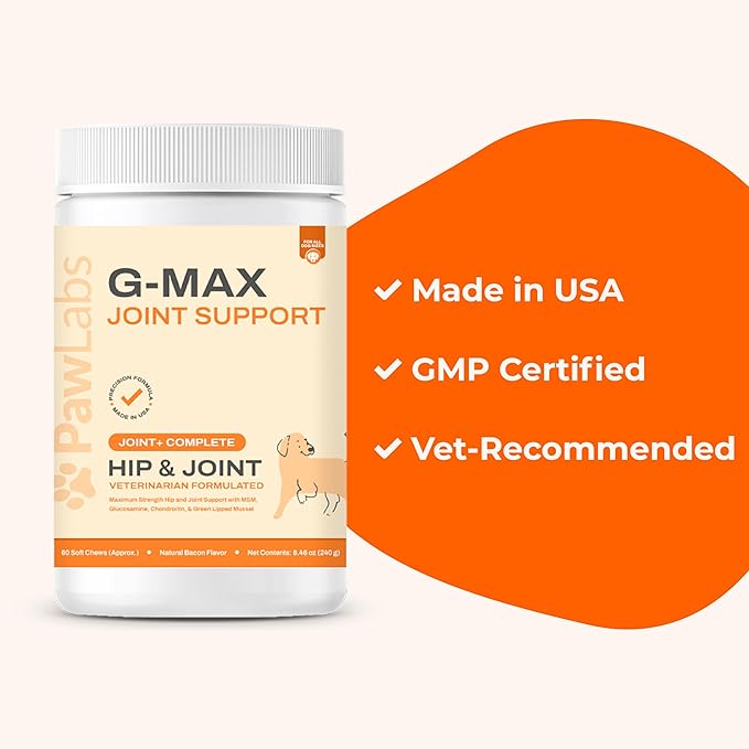 Pawlabs G-Max Joint Support for Dogs - Maximum Strength Hip & Joint Supplement with Glucosamine, Chondroitin, MSM etc - Relieves Arthritis Pain & Hip Dysplasia - Bacon Flavor, 60 Chews