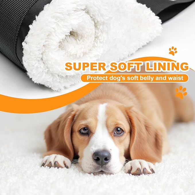 Adjustable Dog Lift Harness, Dog Sling for Large Dogs Lift Support and Rehab Harness for Weak Rear Legs, Soft Hind Leg Support Helps Senior, Injured, Disabled and After ACL Surgery Dogs(Black,Medium)