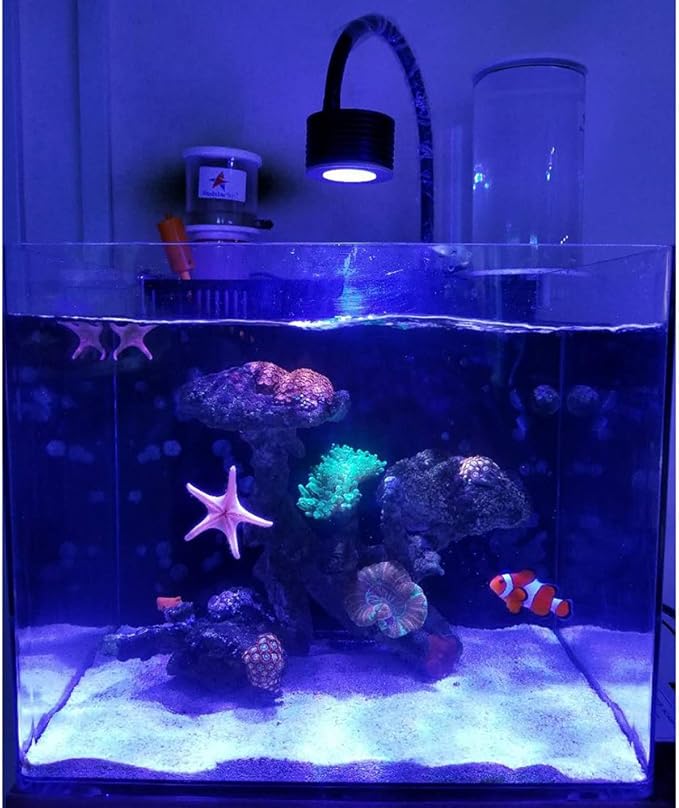 Lominie LED Aquarium Light, Nano Coral Reef Light Clip on Aquarium Light Full Spectrum Remote Control Fish Tank Lamp Dimmable for Saltwater Fish Tank (Saltwater)
