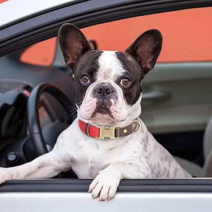Didog Soft Padded Leather Dog Collar for Large Dogs, Classic Heavy Duty Dog Collars with Quick Release Metal Buckle, Adjustable Large Dog Collar Leather,Red,L