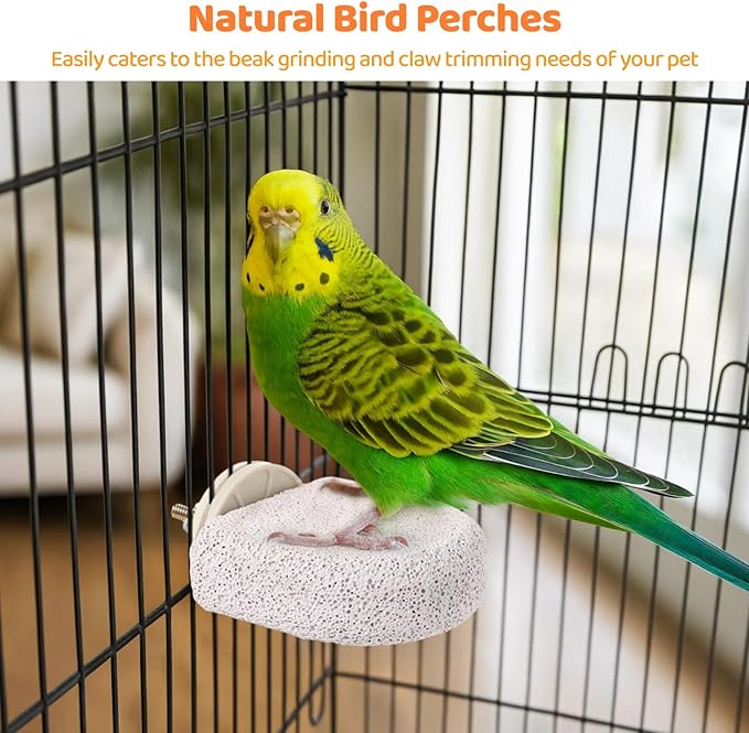 Dorakitten 8 Pcs Bird Perches, Creative Popsicle Bird Stands, Bird Beak Grinding Stones, Foot Claw Trimmers, Natural Chewing Toys for Small Birds, Budgies, Cockatiels, Lovebirds