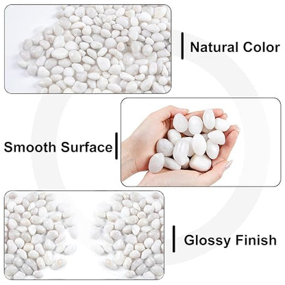 10LB White River Rock- High Polished Pebbles for Indoor Plants- Decorative Stones for Aquarium Fish Tank - White Rocks for Outdoor Garden Landscaping - 0.3"-0.8"
