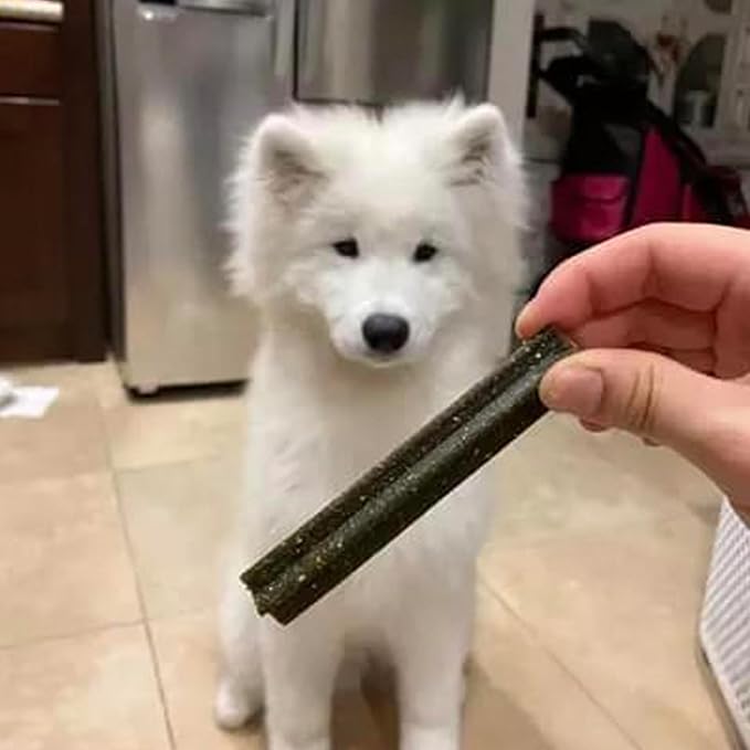 Pupford Dental Chews for Dogs | Freshens Breath, Scrapes Plaque, Safe for Gut | Healthy, Limited Ingredient, All Natural |Yummy & Made in USA | Free Training Resources | 14 Count