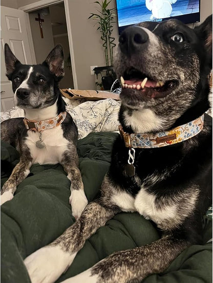 Lionheart glory Premium Dog Collars Fall Dog Collar, Heavy Duty Adjustable Dog Collar for Small Dogs Maple Leaf Dog Collar