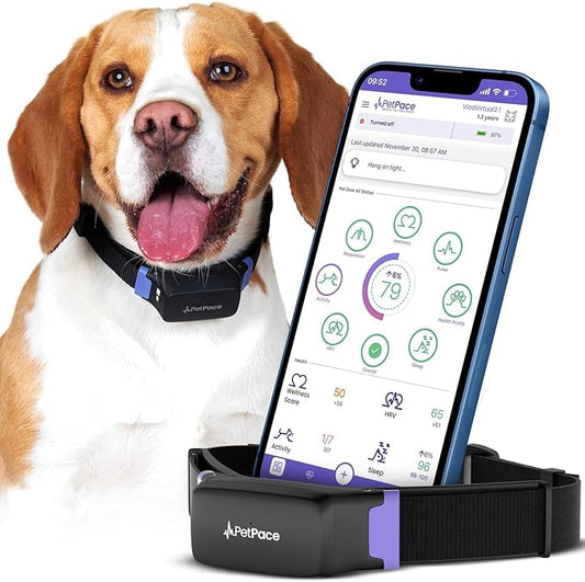 AI Health Monitor & GPS Tracker for Dogs | Track Heart Rate, Pain, Anxiety & Stress | Vet Backed, Near Real-Time Alerts & Monitoring | Subscription Required | PetPace Smart Collar 2.0 (Large)