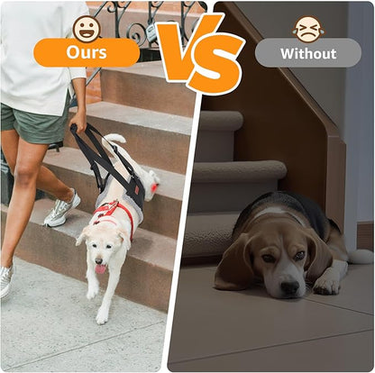 Adjustable Dog Lift Harness, Dog Sling for Large Dogs Hind Leg Support, Soft Lift Support Helps Senior, Injured, Disabled and After ACL Surgery Dogs-Black & Grey (Medium)