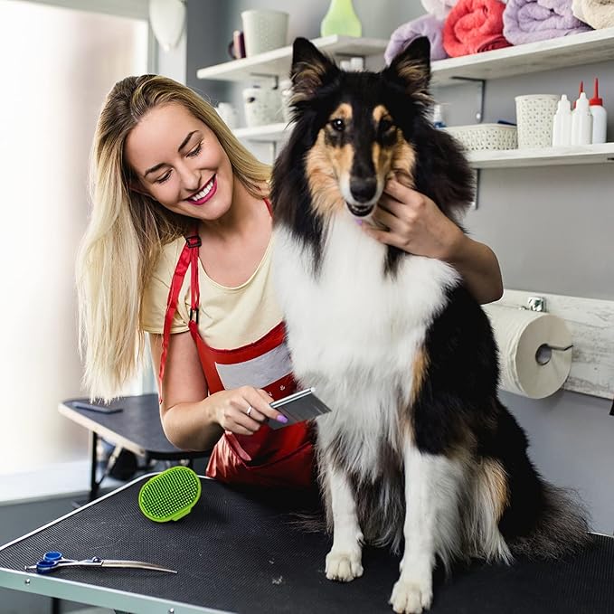 2PCS Stainless Steel Metal Dog Comb, For Removing Tangled Mats And Massaging Pet Combs, Professional Pet Grooming Tools