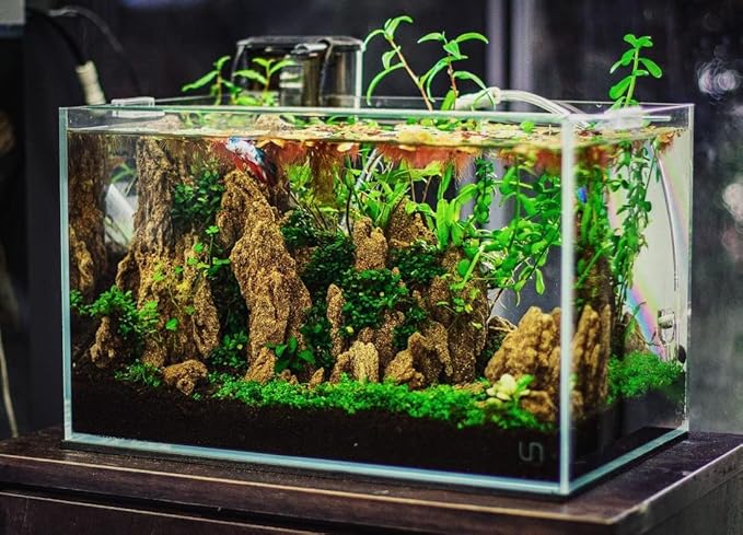 SubstrateSource Natural Stone for Aquarium, Terrarium, Paludarium, Reptile Enclosures - Set of Decorative Rocks for Landcapes, Aquascaping, Fish Tank Decor (Mountain Stone Stone, 10 Pounds, 3-8")