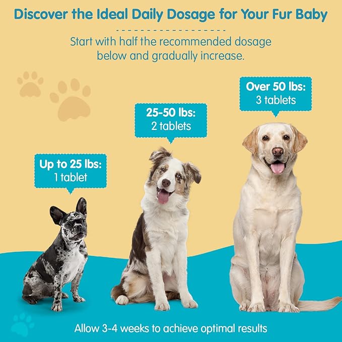 Wanderfound Pets 10-in-1 Dog Multivitamin, Chewable Dog Vitamins with Glucosamine, D3, and MSM, Dog Health Supplies for Immune System and Joint Health, Liver Flavor, 60 Tablets