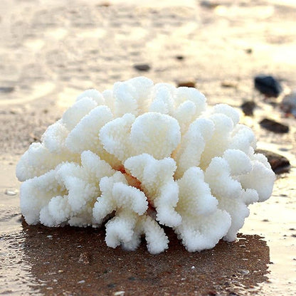 PINVNBY Artificial Coral Ornament Underwater Sea Plants Decorations Craft Resin Aquarium Plants for Fish Tank Decor Landscape (White)