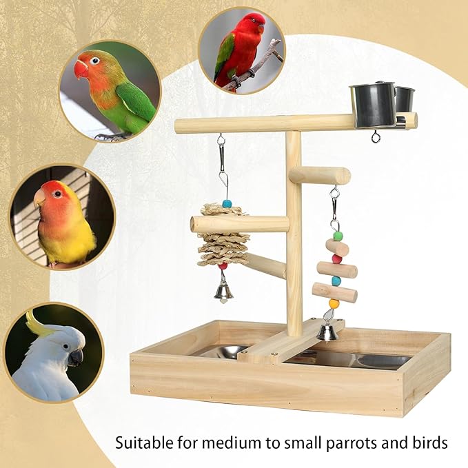 Bird Play Stand with Perch, Two Toys, Two Food Cups, Removable Tray - Suitable for Lovebirds, Cockatiels, Budgies, Parakeets