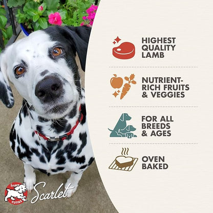 Fromm Four-Star Nutritionals Lamb with Cranberry Dog Treats - Premium Oven Baked Dog Snacks - Lamb Recipe - Pack of (3) 8 oz Bags