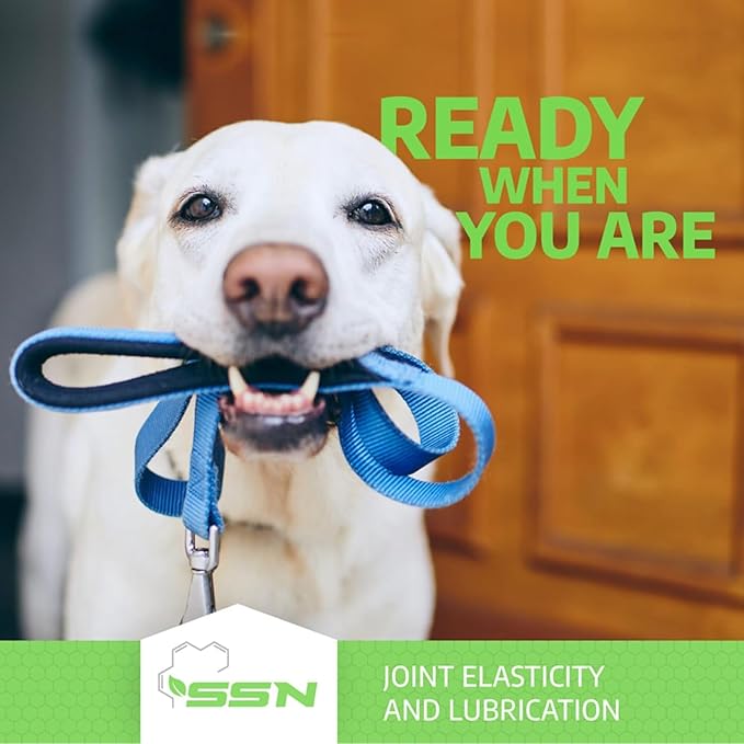 Fluid Motion - Hip & Joint Support for Dogs - Liquid Hyaluronic Acid - Mobility, Comfort and Joint Supplement for Senior Dogs - Apple Flavor - Glucosamine Alternative (60-120+ Day Supply)