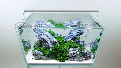 SereneSun 18" RGB+W Freshwater Aquarium Terrarium Reptile LED Light with 24 Hour Color Timer and Remote Control| RGB + 6,500K White | For Fish Tank, Reptile, Terrarium & Plants | Fits 18" to 24"