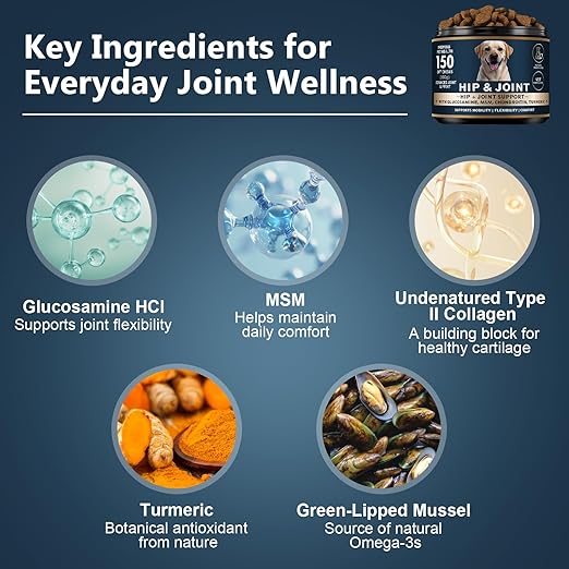 Glucosamine for Dogs - 150 Soft Chews, Hip & Joint Supplement with MSM, Chondroitin, Turmeric  Joint Support for Dogs Chicken Flavor  Vet Formulated  2-Month Supply