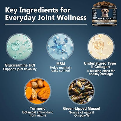 Glucosamine for Dogs - 150 Soft Chews, Hip & Joint Supplement with MSM, Chondroitin, Turmeric  Joint Support for Dogs Chicken Flavor  Vet Formulated  2-Month Supply