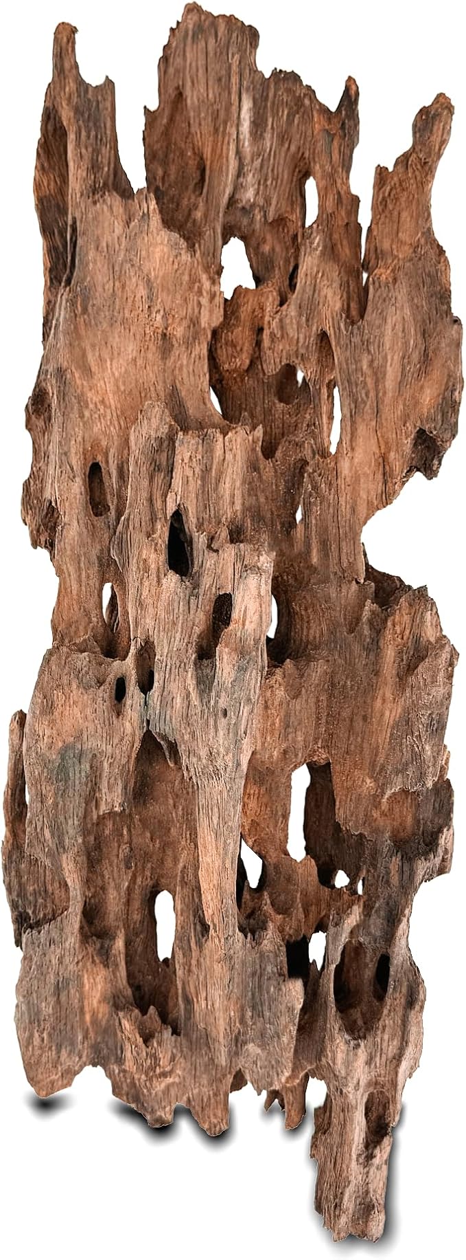 Natural Wood Driftwood for Aquarium Fish Tank Decor,Assorted Natural Tree Hole Wood for Reptile Decor (SHP-XM Driftwood (SHP-XM Driftwood L(12 to15 Inch)-Pack of 1)