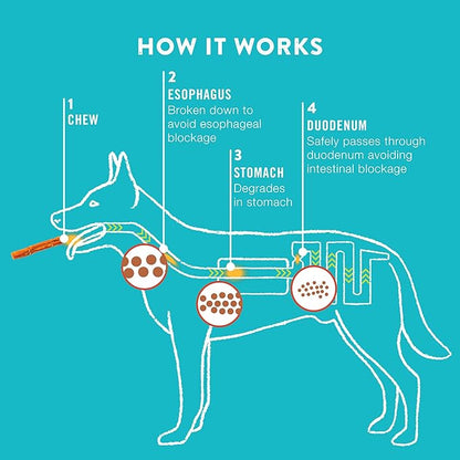 TRURANCH Collagen Rolls - 6" Collagen Rolls for Dogs - Long Lasting Healthy Joint Support - Rawhide Alternative - Skin & Coat Health - Made with Real Chicken, Value Pack, 3 Bags, 12 Count