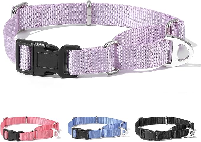 Rttochfy Martingale Dog Collars, Adjustable Nylon Dog Collar with Quick Release Buckle, No Choke Dog Training Collar for Small Medium Large Dogs (Purple, L)