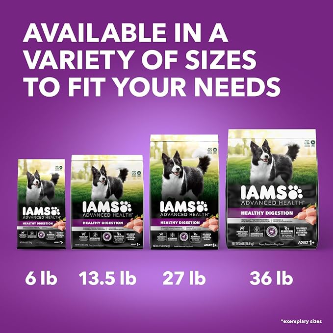 IAMS Advanced Health Healthy Digestion Adult Dry Dog Food with Real Chicken, 6 lb. Bag
